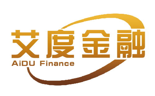 上海艾度金融信息服務 專業(yè)金融中介服務的引領者